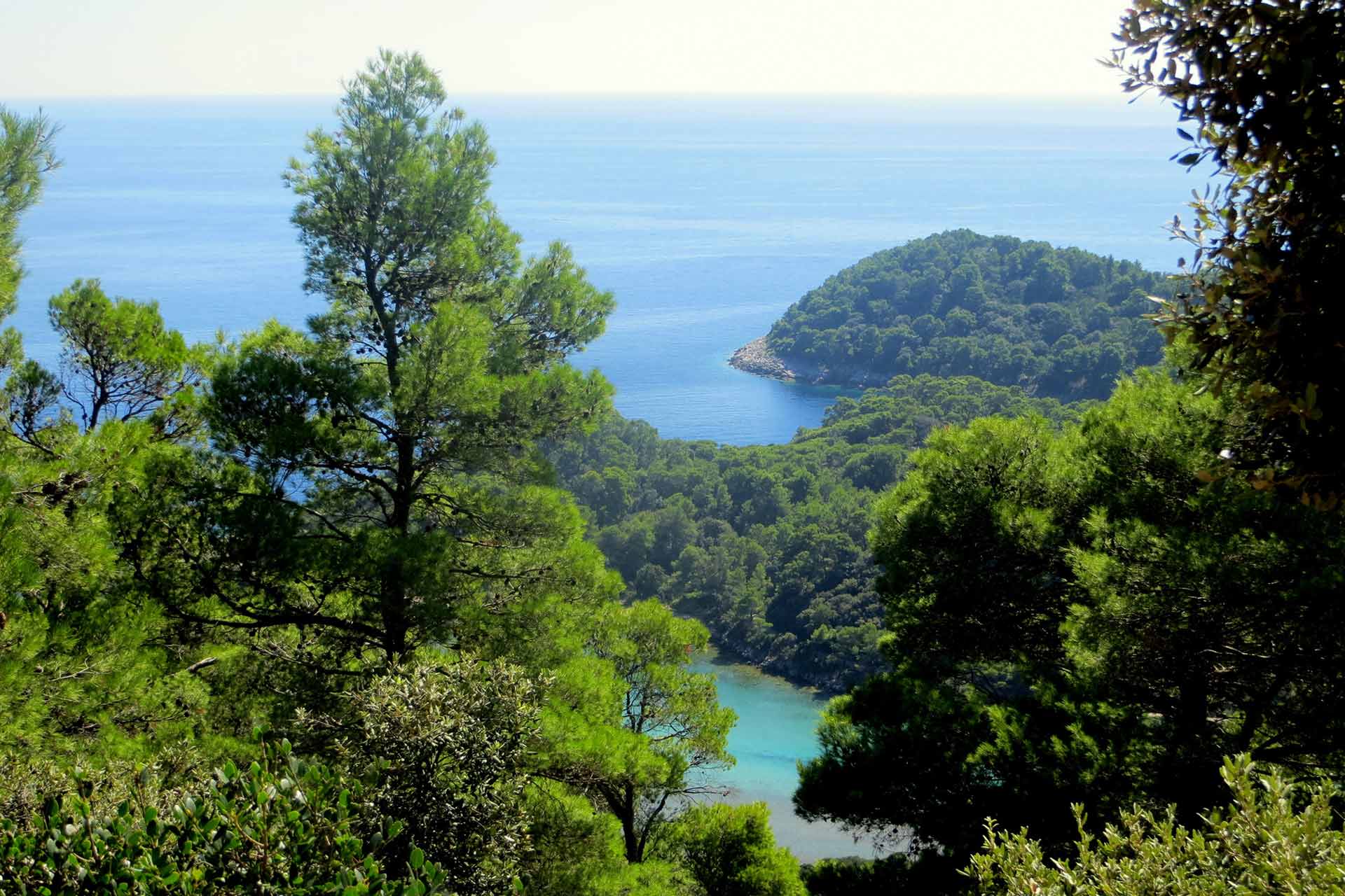 Our impact in Mljet