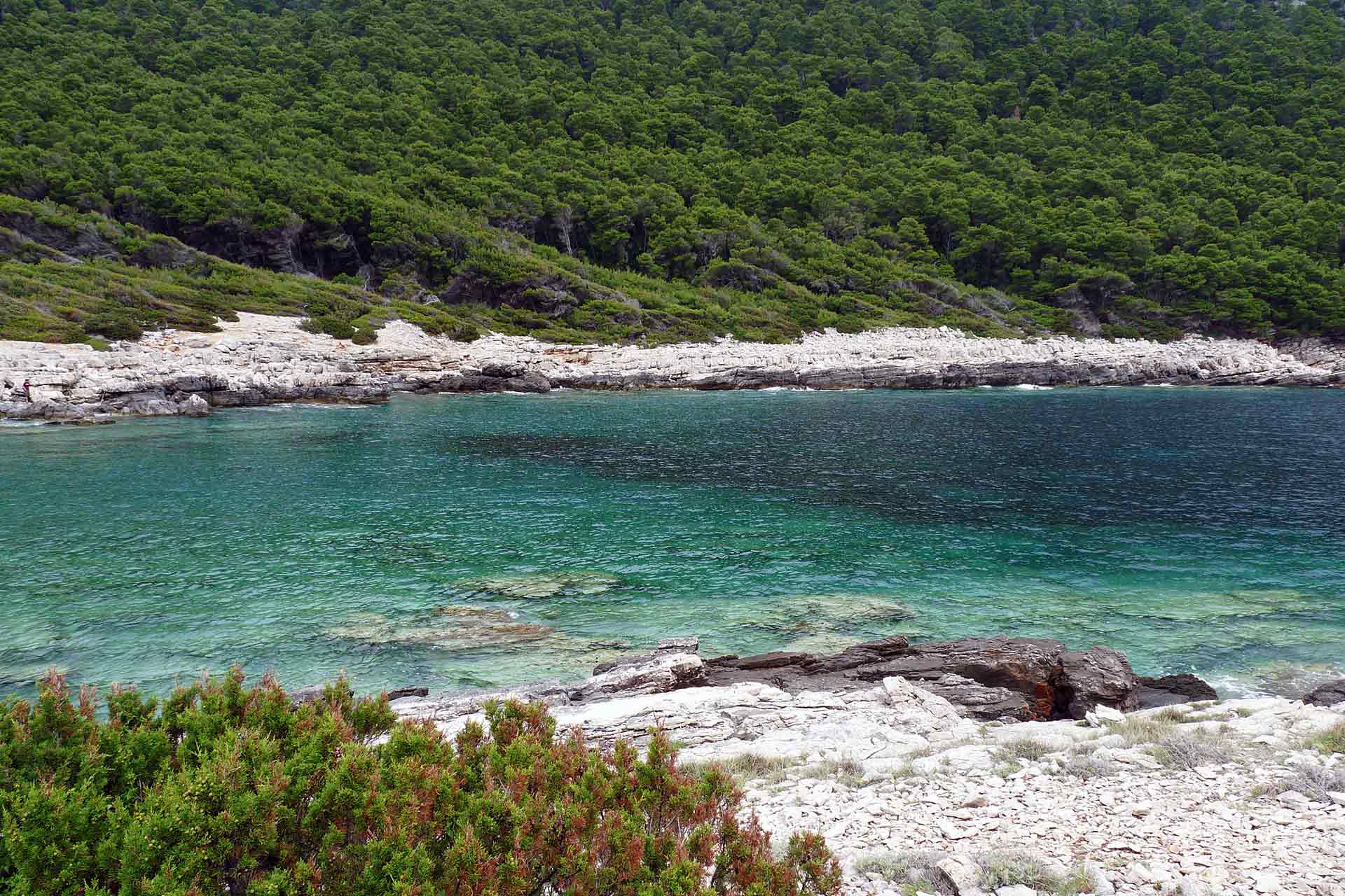 The nature thrives on Mljet island