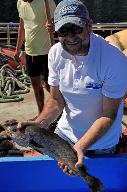 Ante Bilic - farm manager of Riba Mljet